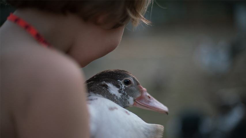 boy with duck